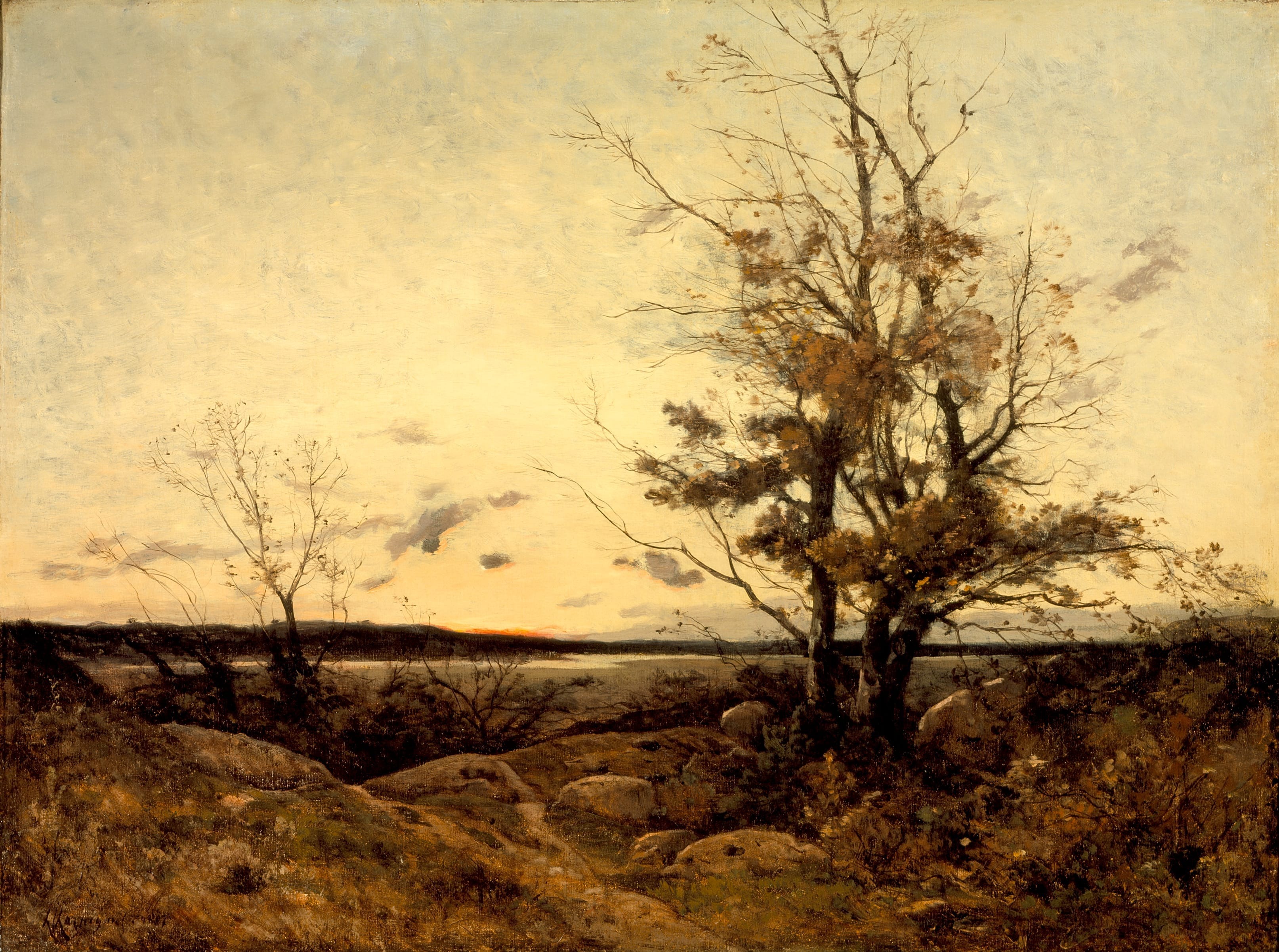 Sunset Landscape