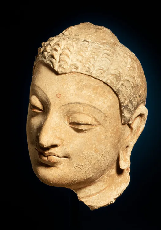 Unknown, Head of Buddha Shakyamuni, 4th-5th century | LACMA