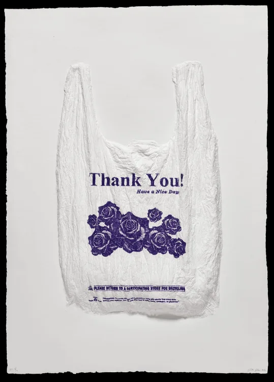 Analia Saban, Thank You! Have a Nice Day Plastic Bag, 2016 | LACMA