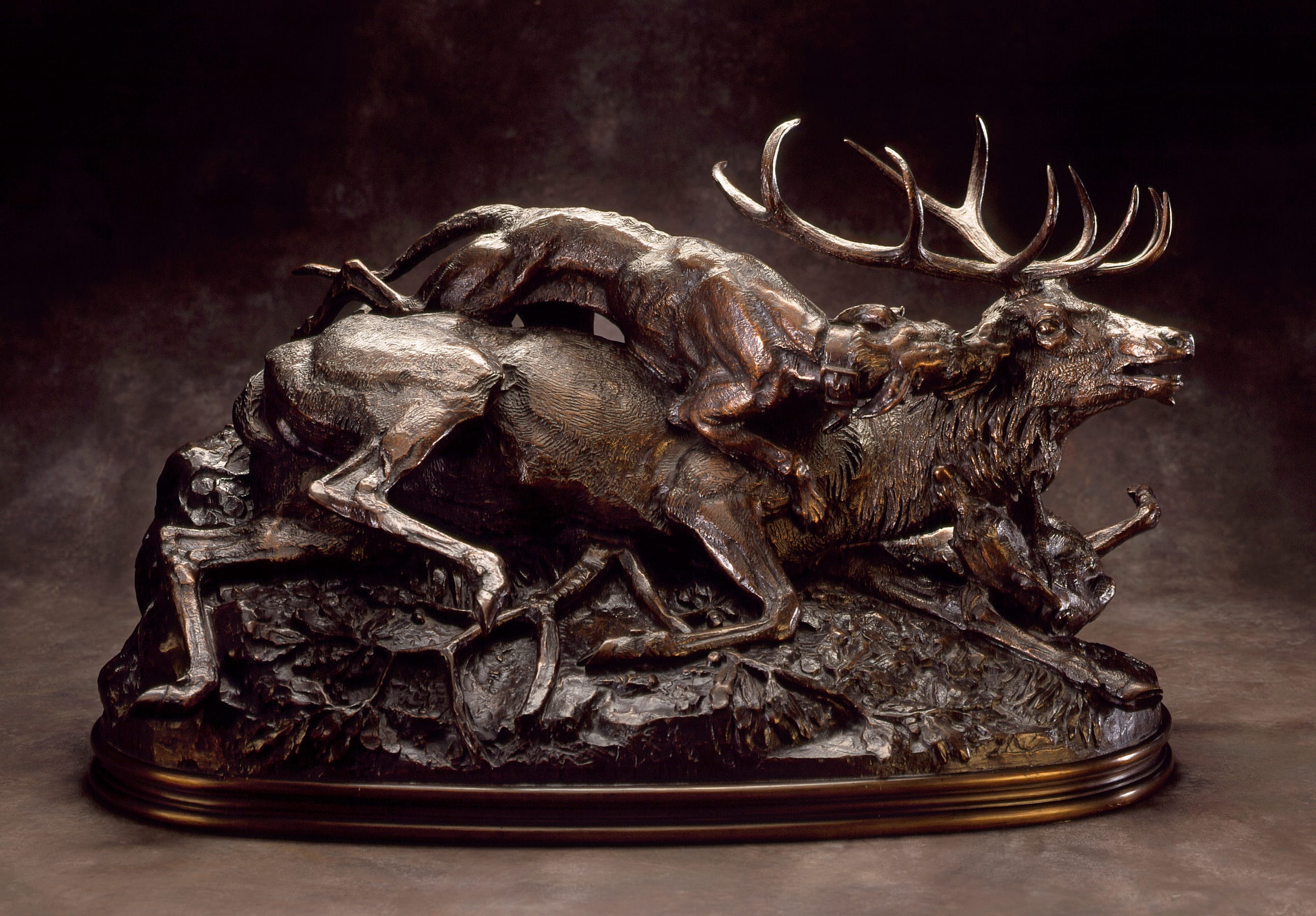 Stag Brought Down by Scottish Hounds