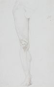 Study of a Leg