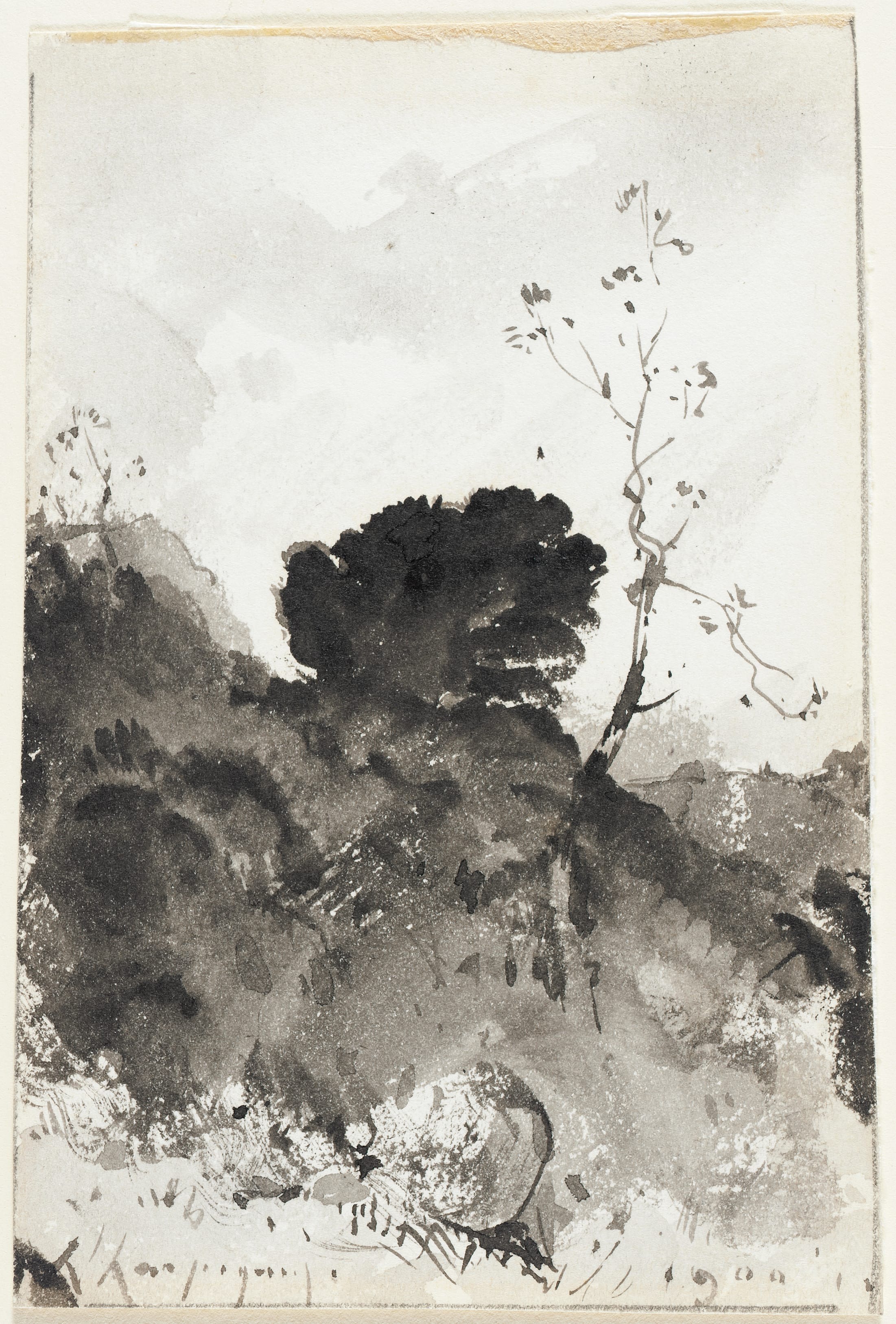 Landscape