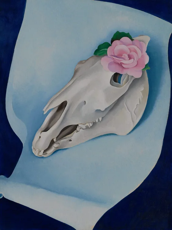 Georgia O'Keeffe, Horse's Skull with Pink Rose, 1931 | LACMA