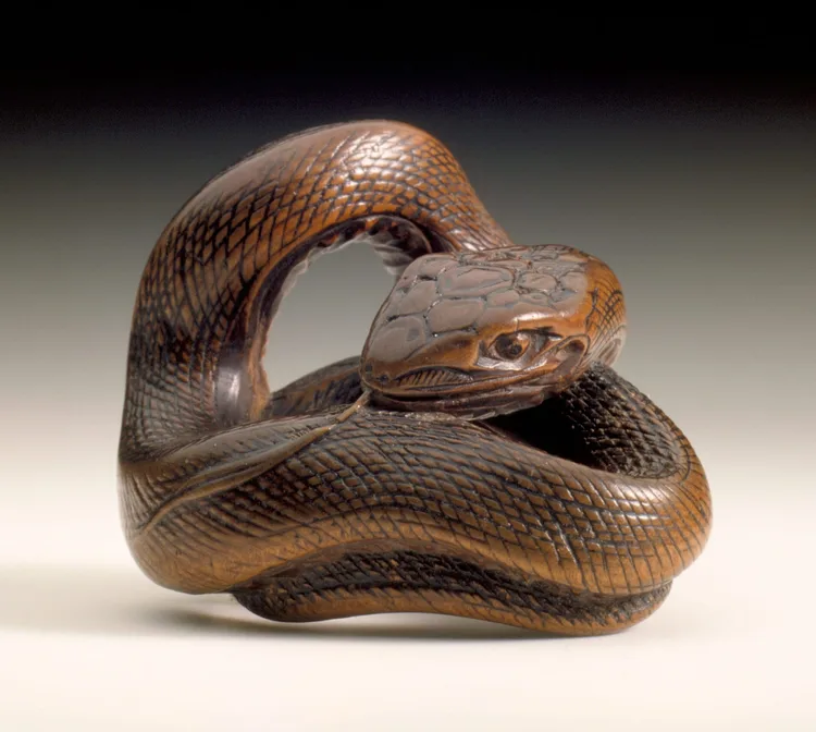 Hōkkyō Sessai, Snake, mid-19th century | LACMA Collections
