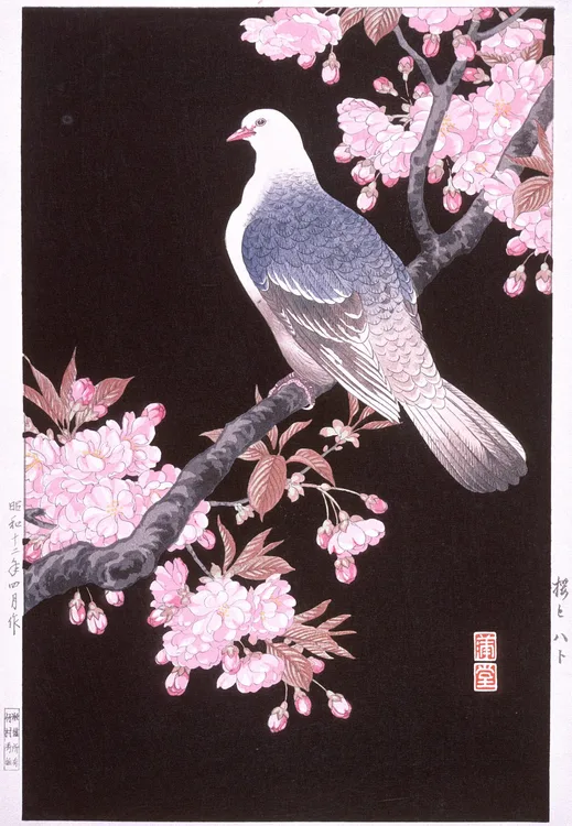 Dove、Lake Afternoon、希少画集画、新品額付 Nishimura Hodō, Cherry Blossoms and Pigeon, 1937, April | LACMA