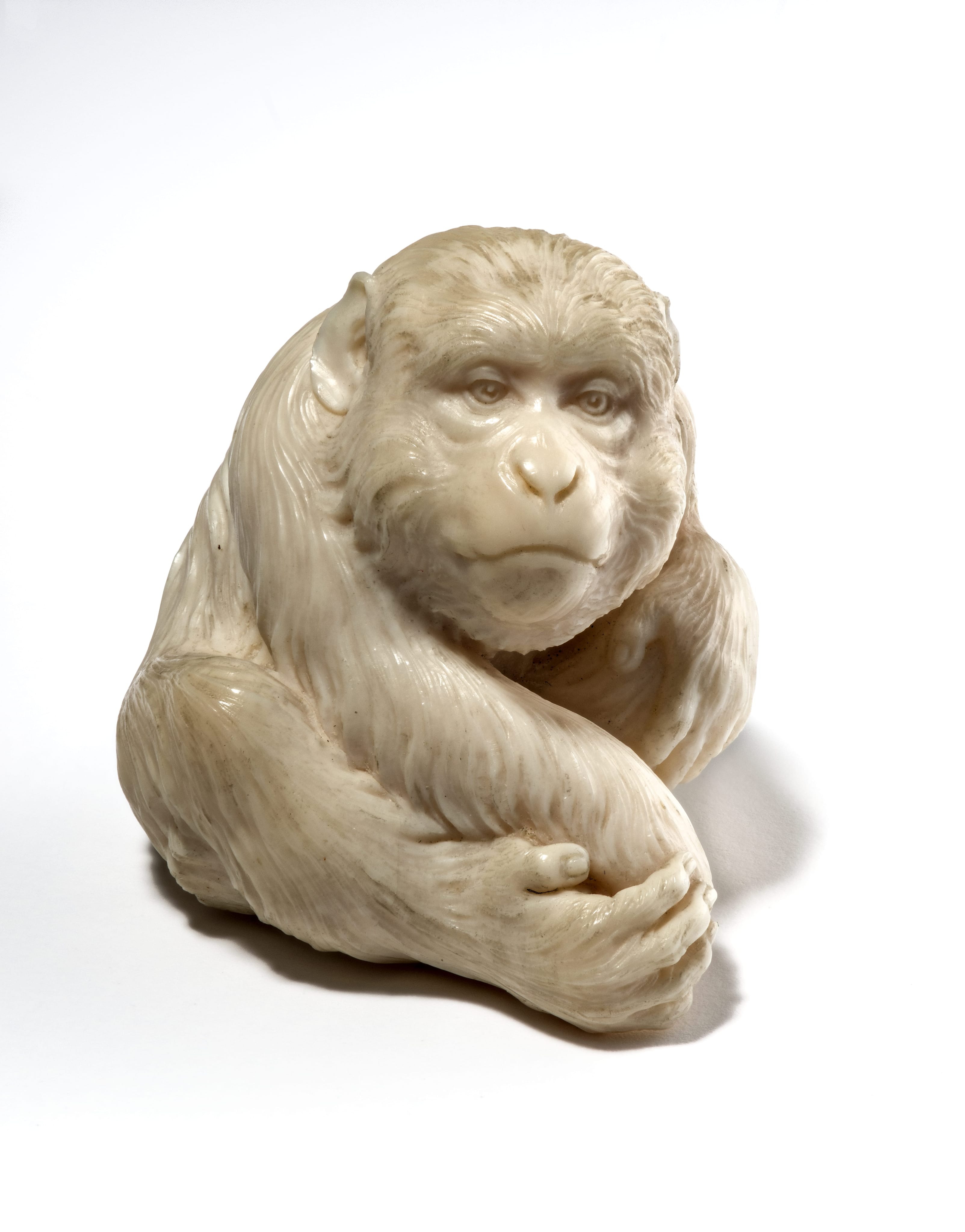 Ishikawa Mitsuaki, Monkey, late 19th-early 20th century | LACMA